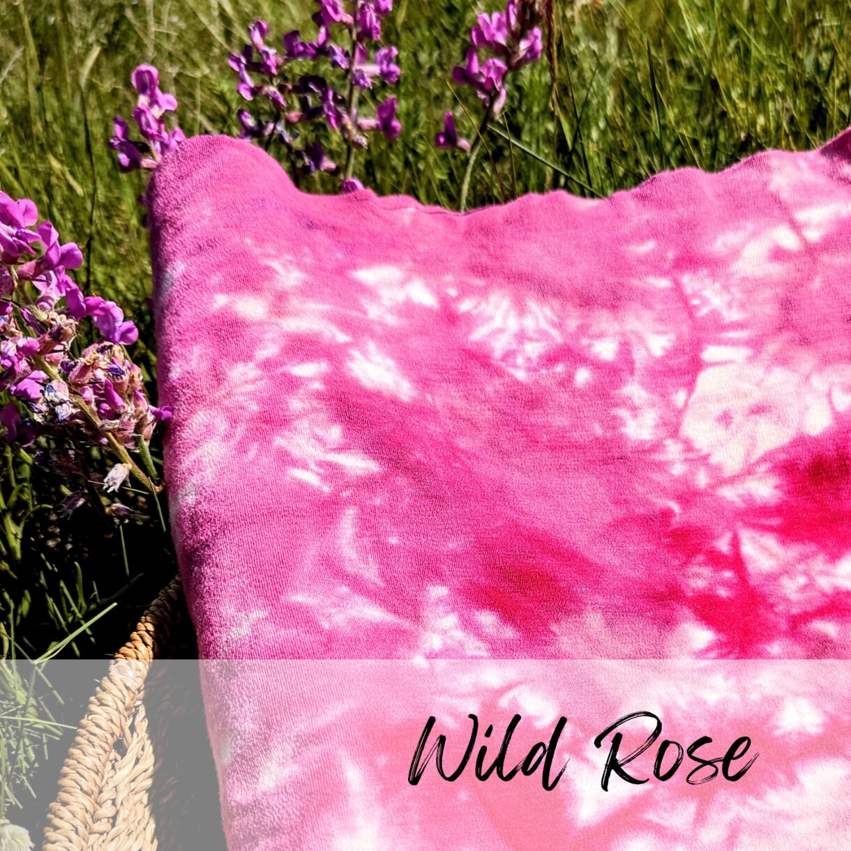 Merino Wool Stretch Interlock in Hand-Dyed Colorway: Wild Rose Fabric: 97% Merino Wool 3% Spandex-Machine Washable