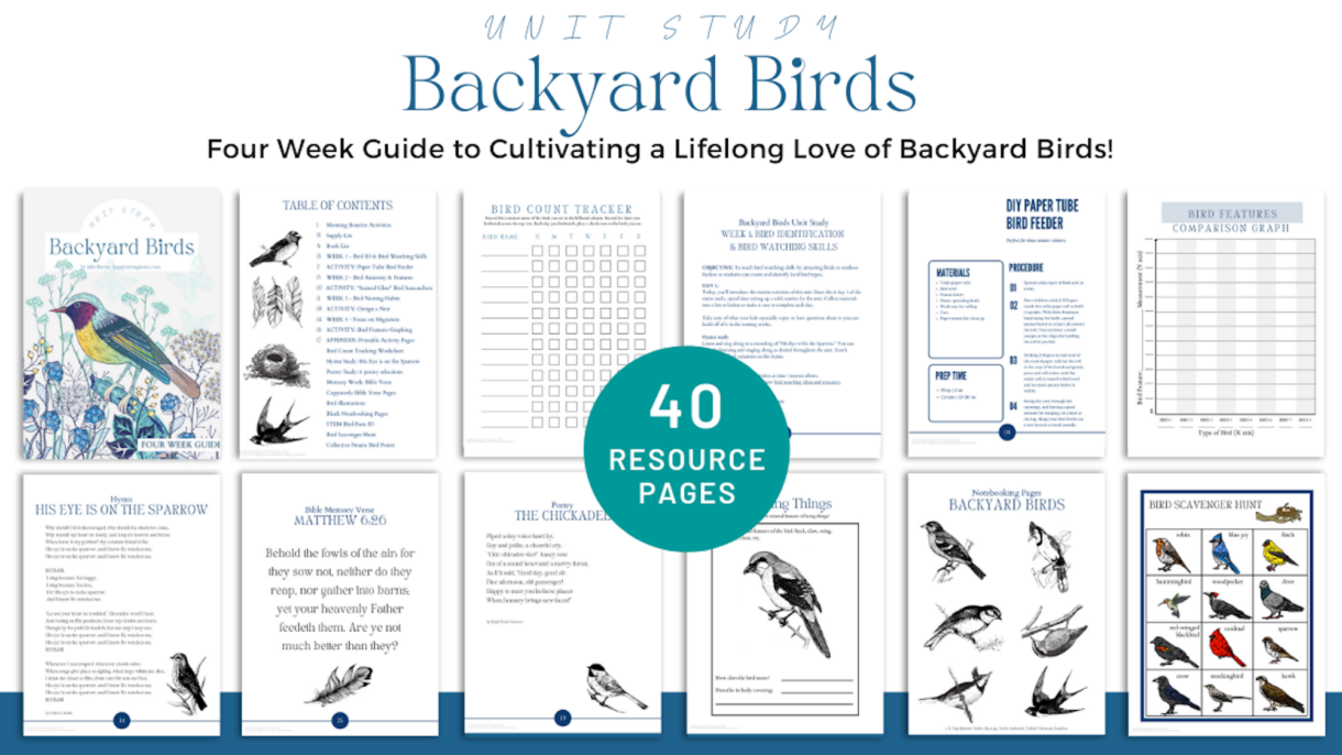 Backyard Bird Study Pages Complete - Pelavida - Shop For Life