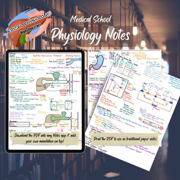 Digestive Physiology Digital Notes, Diagrams, and Tables for Medical School - Instant Download