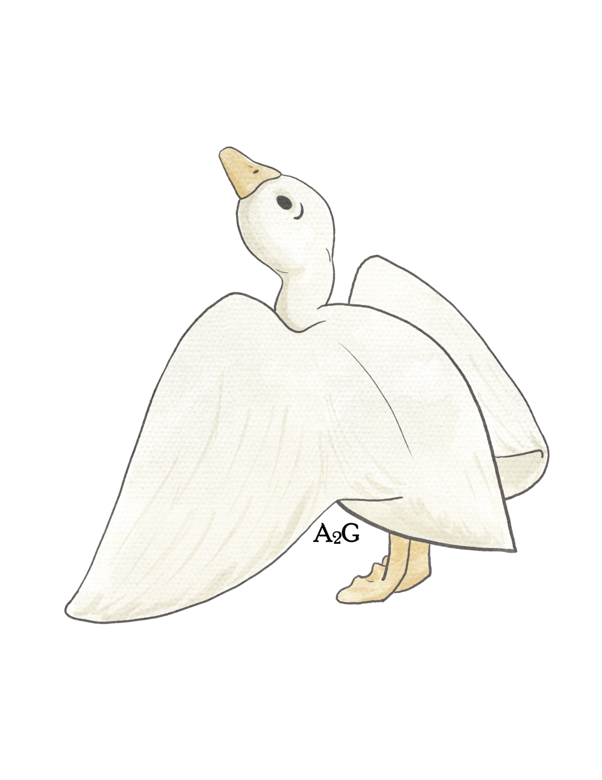 Goose w Logo - Pelavida - Shop For Life