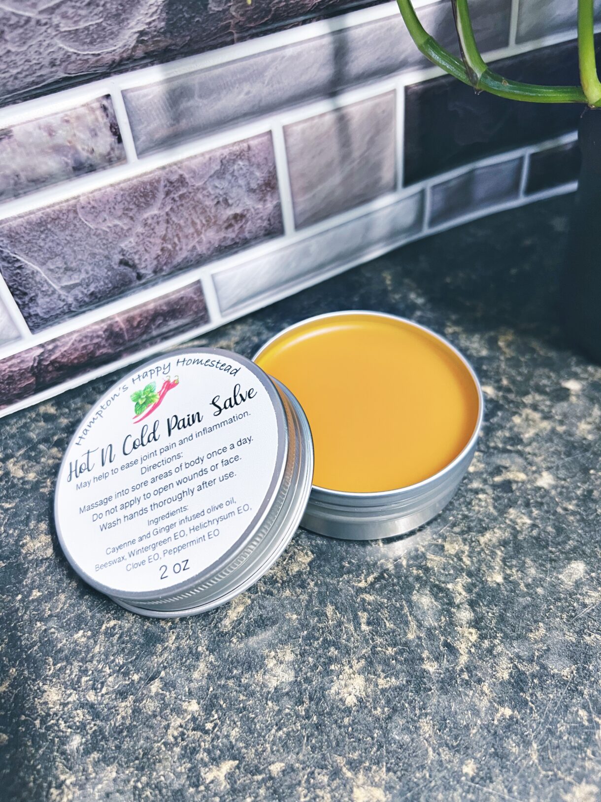 Hot N Cold Pain Salve
