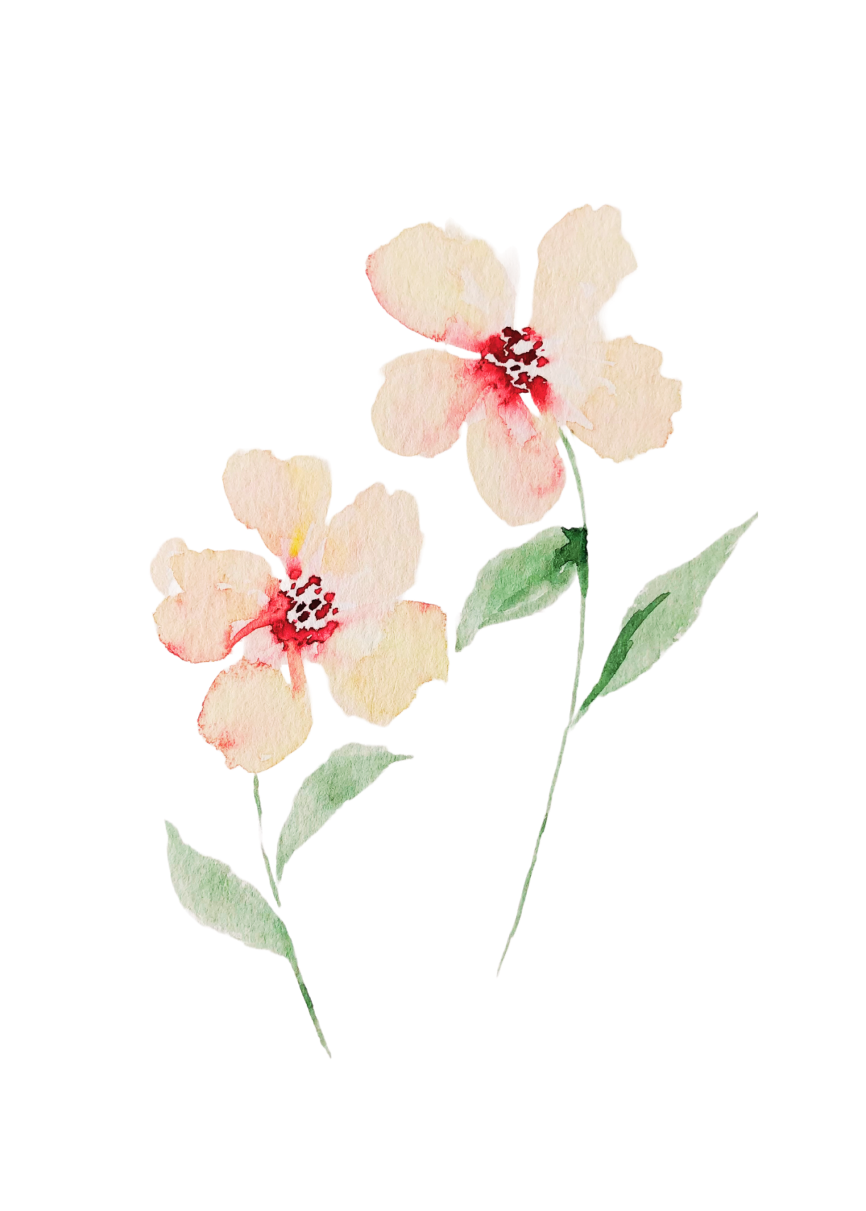 Watercolor Delicate Flowers Art Print - Pelavida - Shop For Life