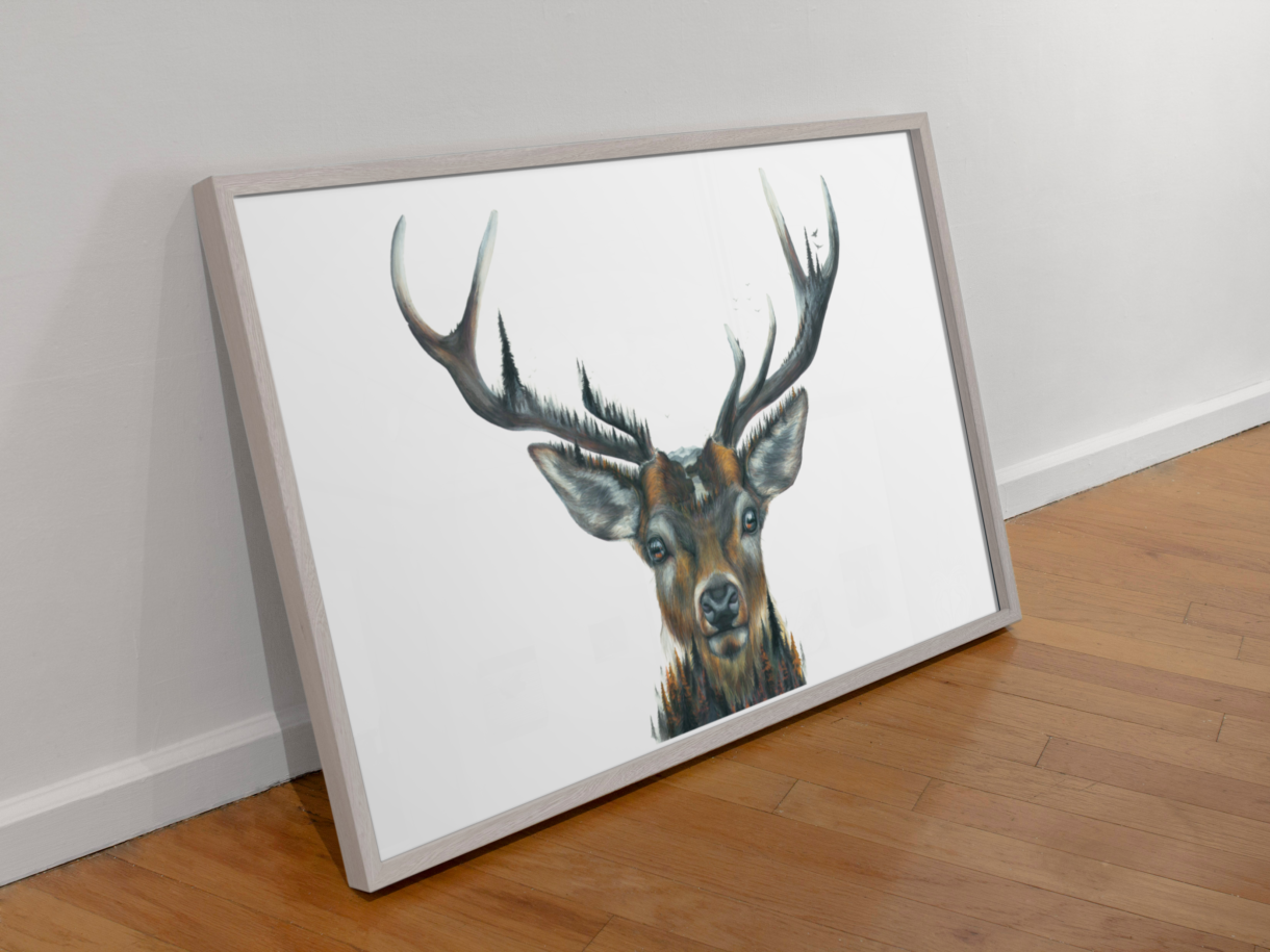 red deer in frame sitting on floor
