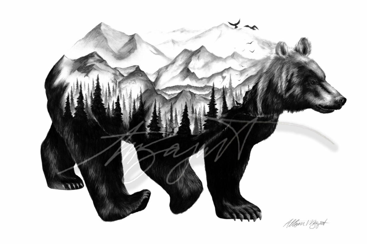 black bear fine pencil art drawing full - Pelavida - Shop For Life