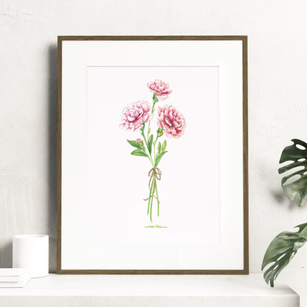 Birth month flowers - January, Watercolor Carnation flowers