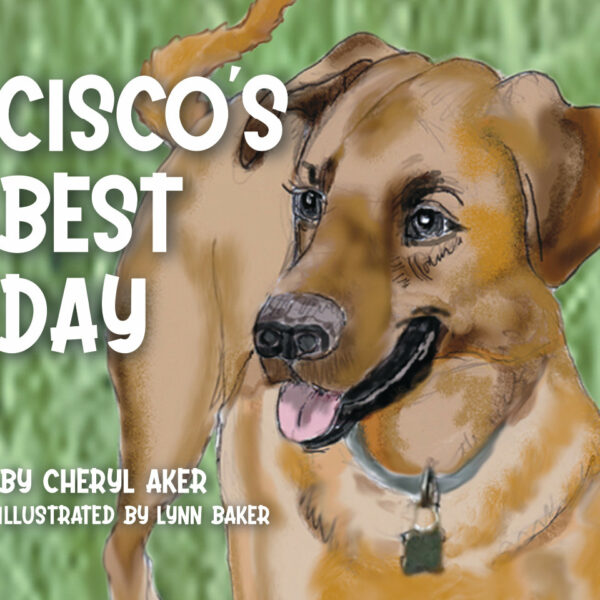 Cisco's Best Day