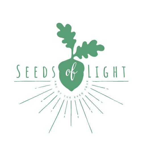 Seeds Of Light