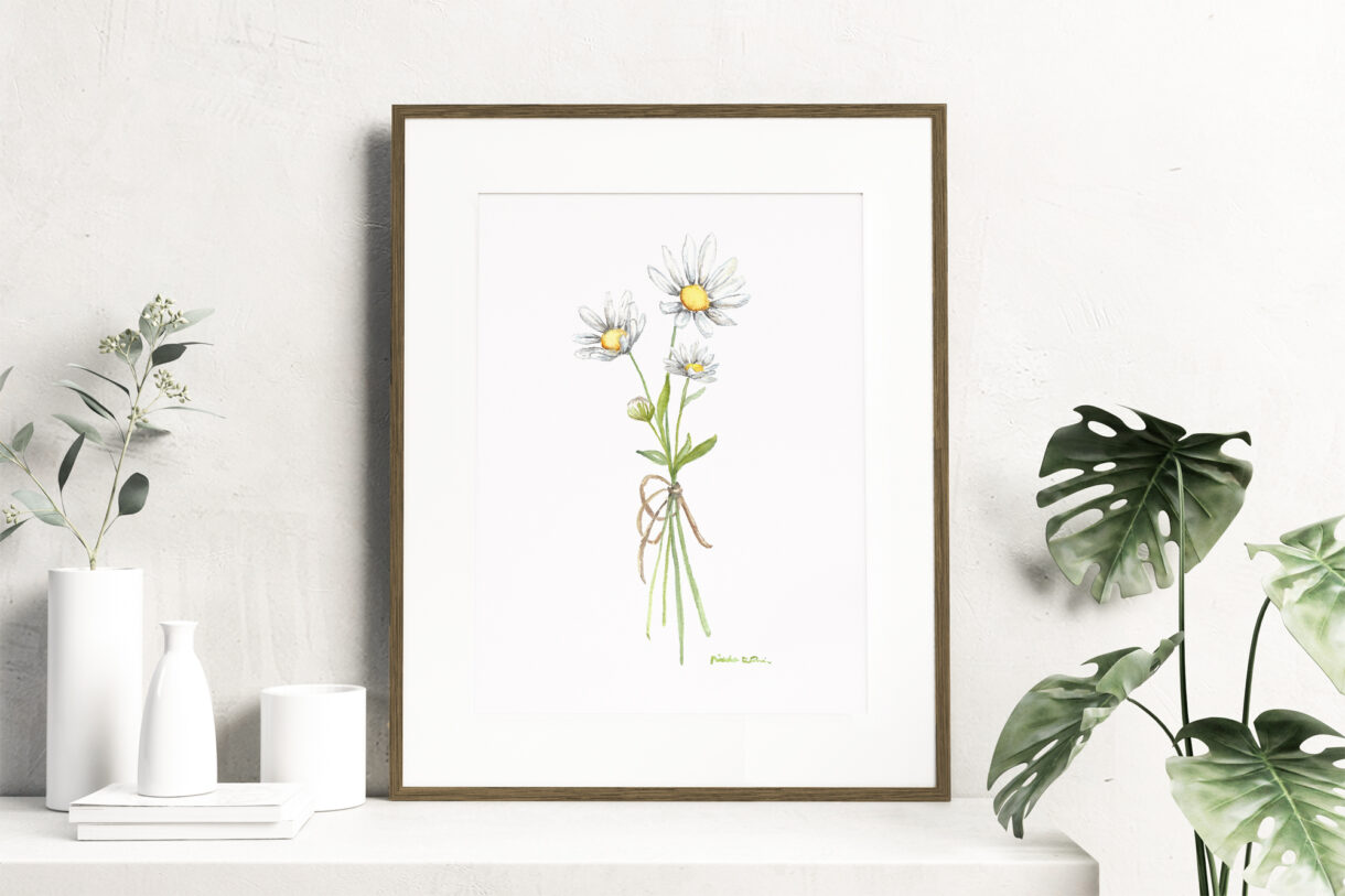 Birth month flowers - April, Watercolor Daisy flowers