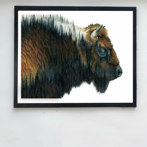 bison art print framed on wall