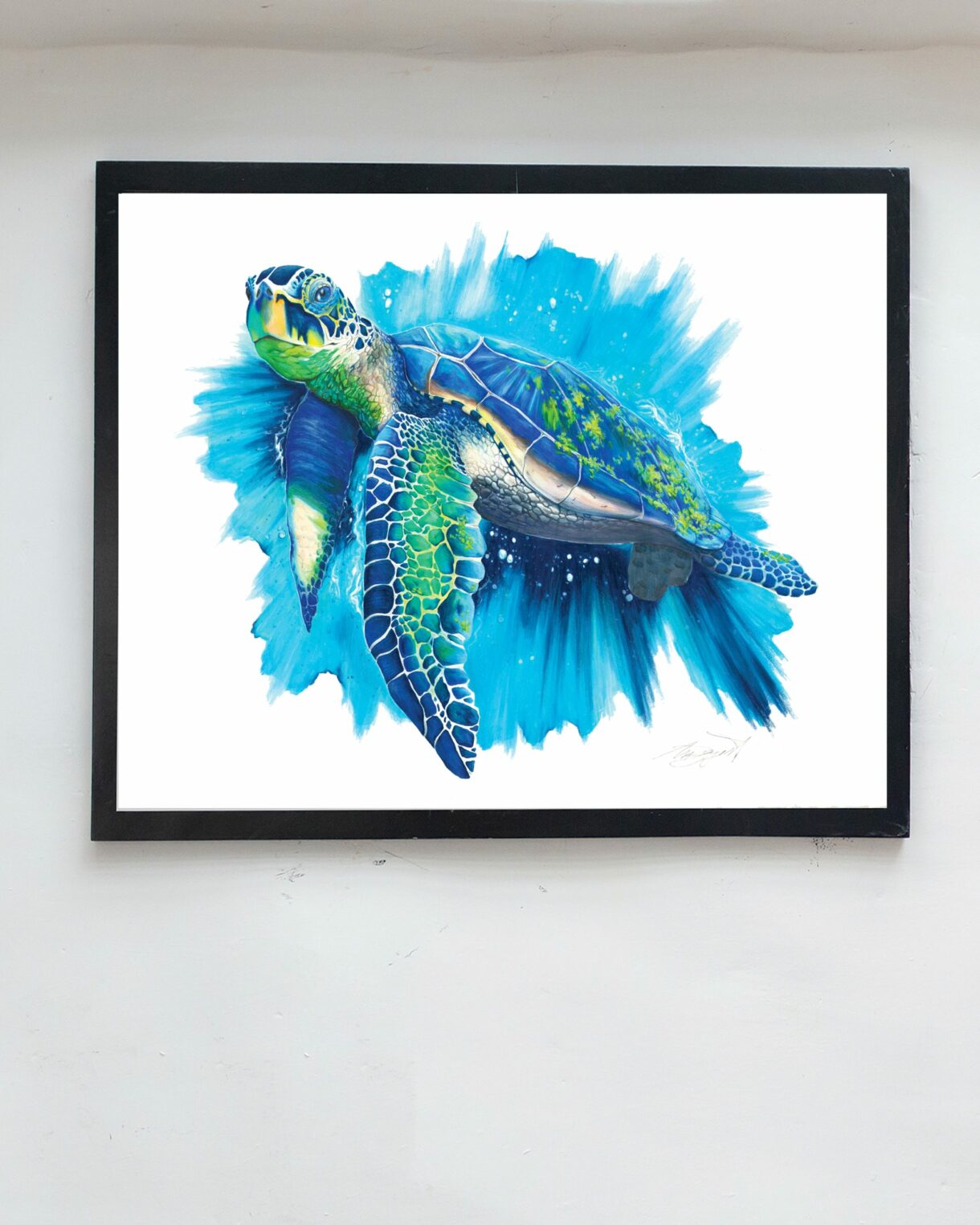 sea turtle frame on wall