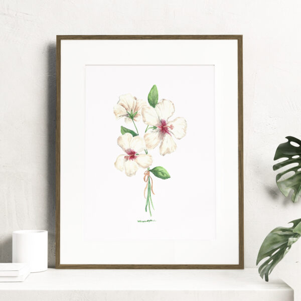 Watercolor white hibiscus flowers - Botanical Art Watercolor, rose of sharon
