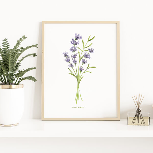 Watercolor lavender sprig - Botanical Art Watercolor, essential oil plant illustration