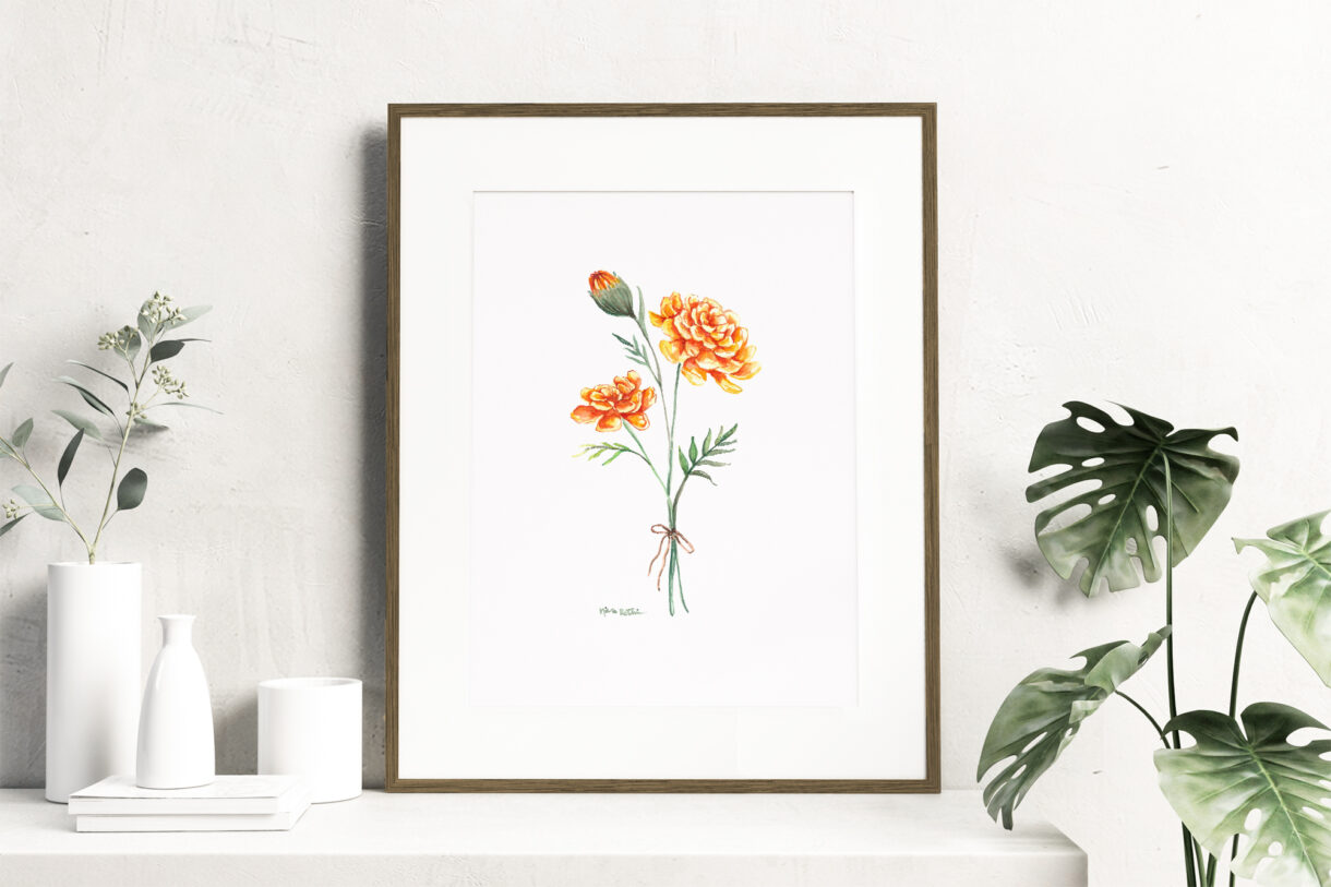 Birth month flowers - October, Watercolor Marigold flowers