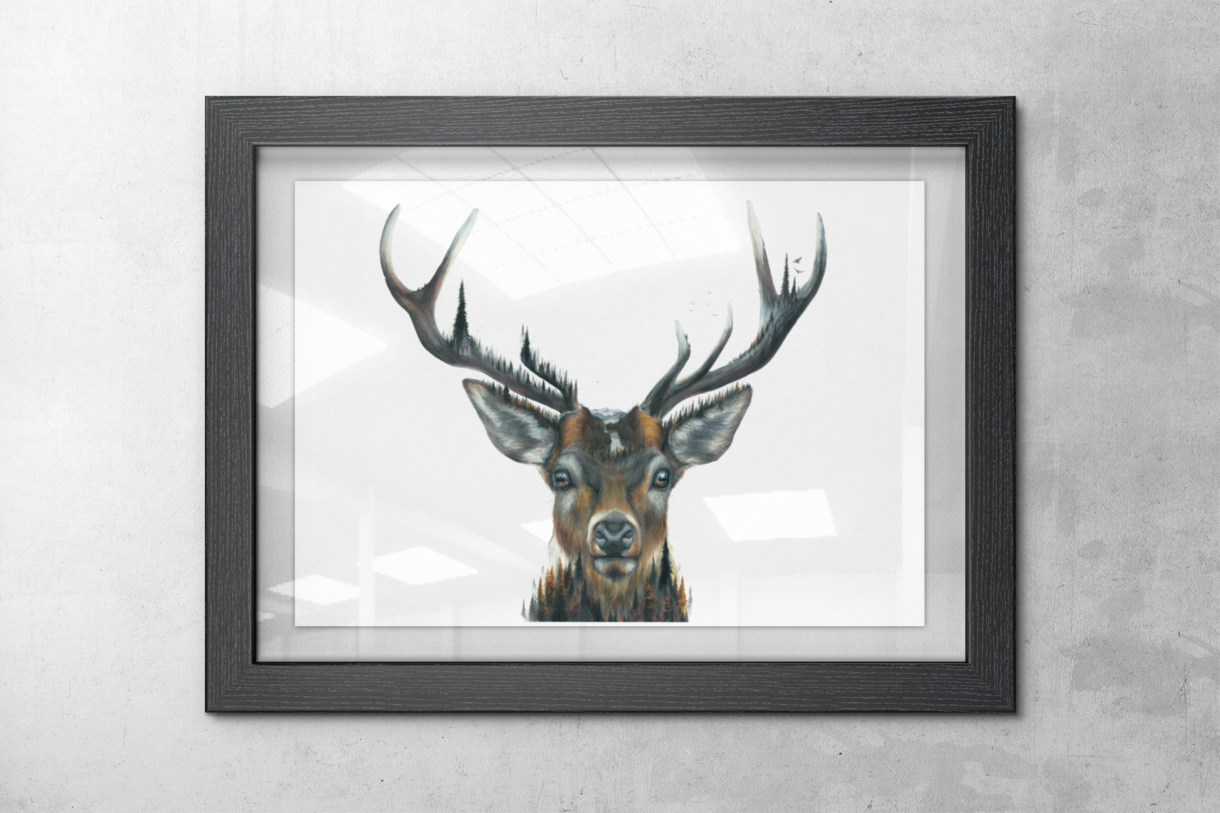 red deer hanging framed on wall