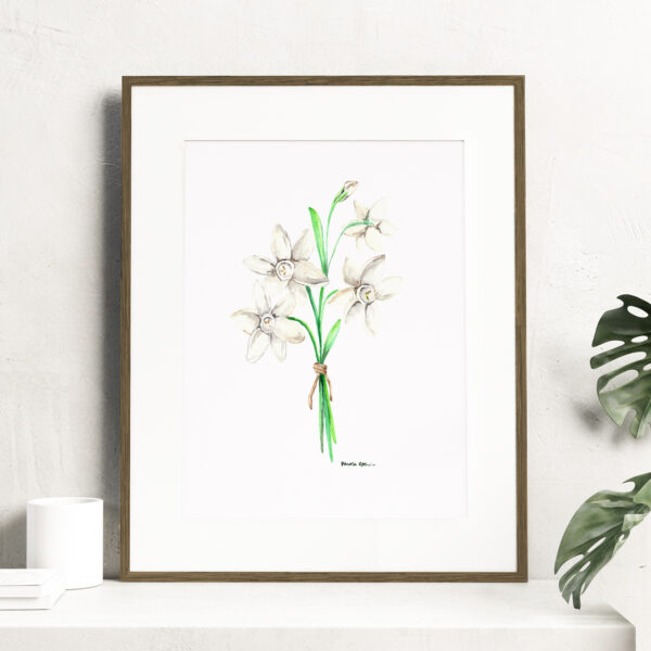 Birth month flowers - December, Watercolor Narcissus flowers