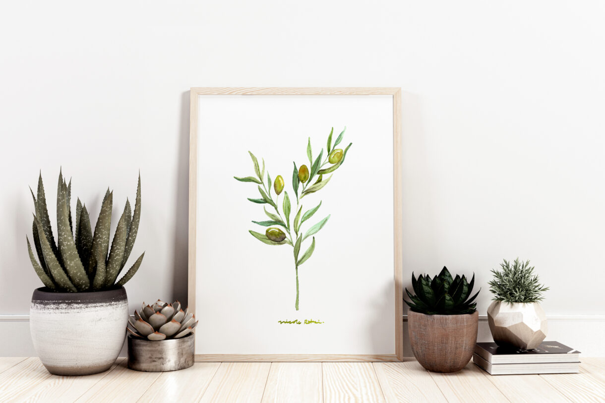 Watercolor olive branch, olive leaf plant illustration