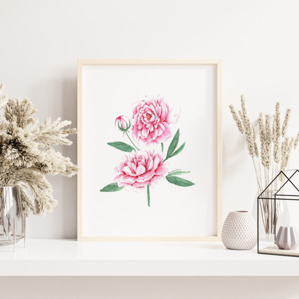 Birth month flowers - November, Watercolor Peony Flowers