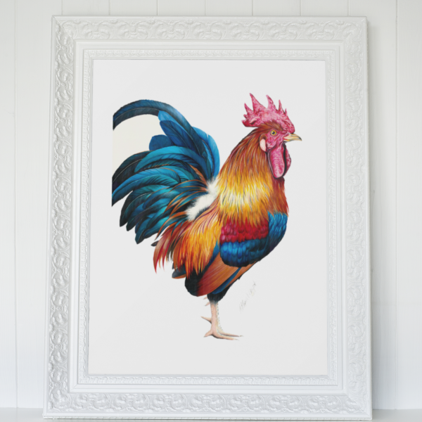 rooster fine art print in white frame