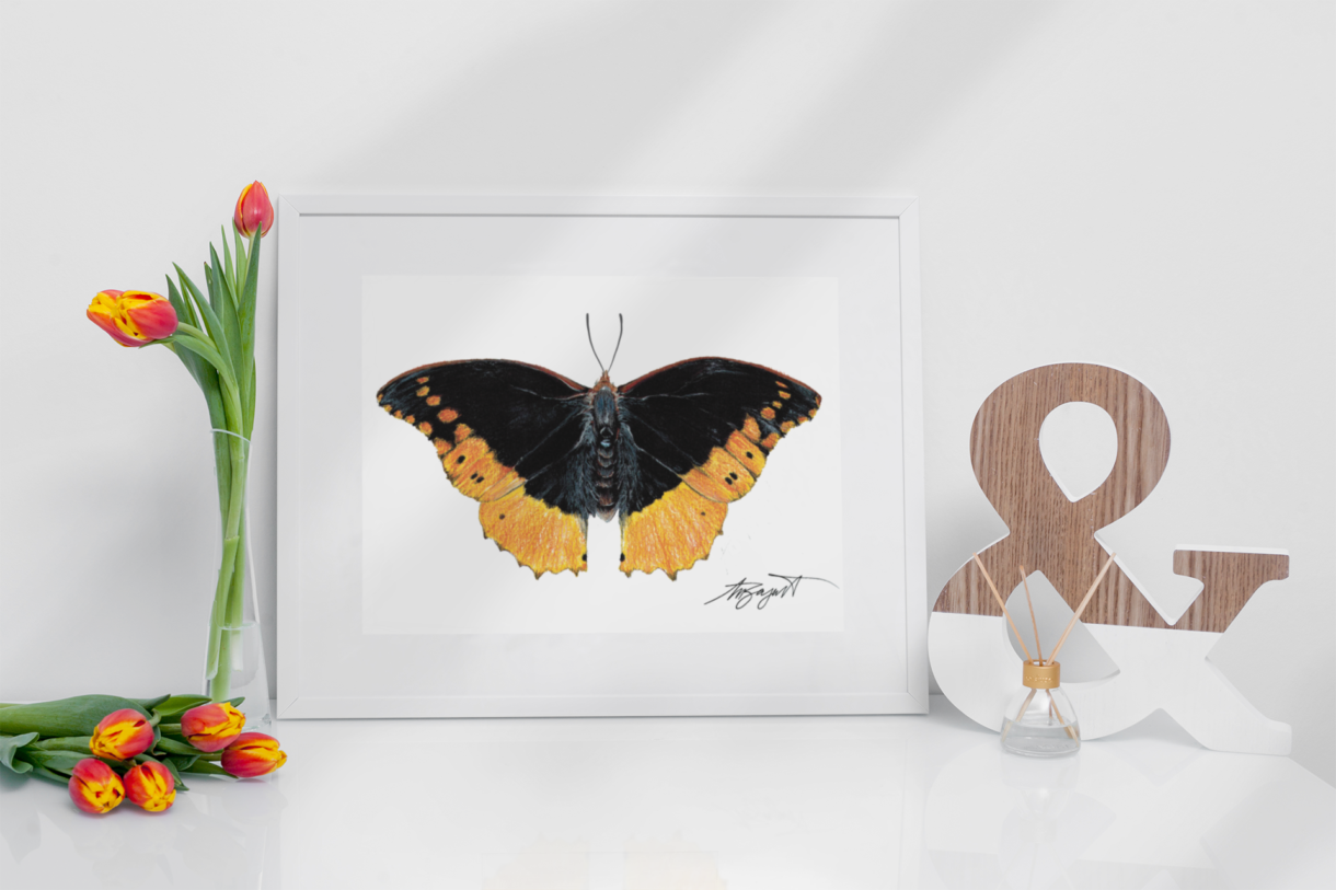 orange butterfly fine art print in white frame sitting on table beside tulips