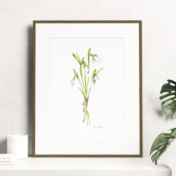 Birth month flowers - January, Watercolor Snowdrop flowers