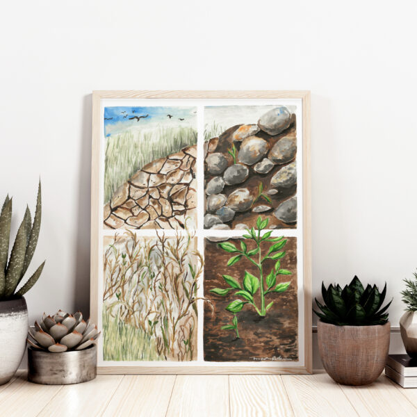 Parable of the Sower - 4 Types of Soil Bible Illustration Watercolor Print - Matthew 13