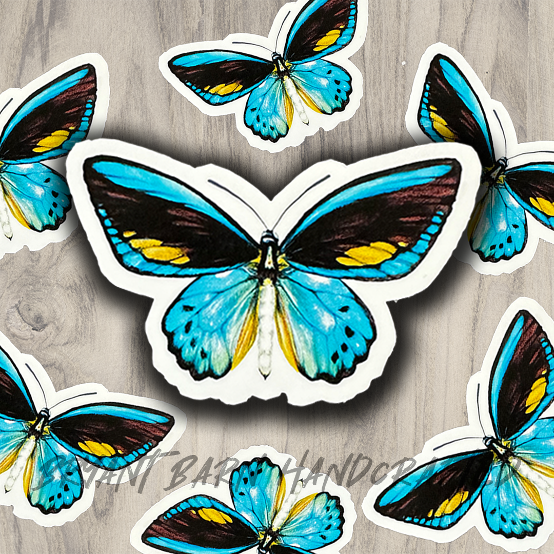 teal butterfly 2 - Pelavida - Shop For Life